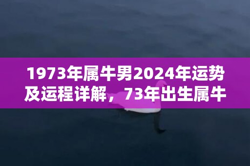 1973年属牛男2024年运势及运程详解，73年出生属牛人2024全年每月运势男性，1973年属牛男2024年运势及运程详解，73年出生属牛人2024全年每月运势男性