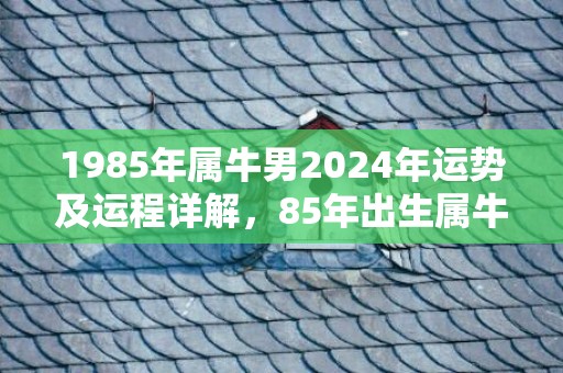 1985年属牛男2024年运势及运程详解，85年出生属牛人2024全年每月运势男性，1985年属牛男2024年运势及运程详解，85年出生属牛人2024全年每月运势男性