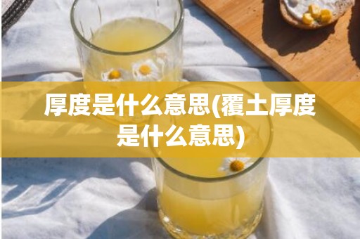 厚度是什么意思(覆土厚度是什么意思)