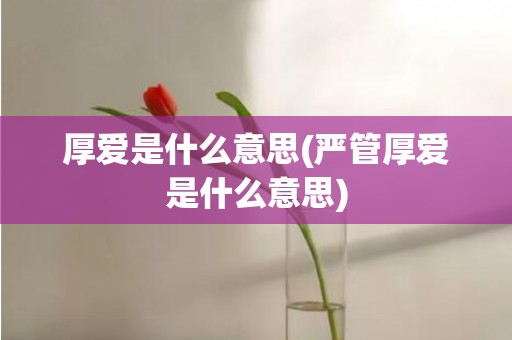 厚爱是什么意思(严管厚爱是什么意思)