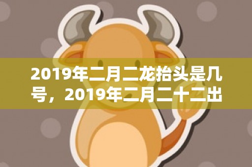 2019年二月二龙抬头是几号，2019年二月二十二出生的双胞胎女孩起名推荐，五行属什么