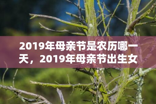 2019年母亲节是农历哪一天，2019年母亲节出生女孩五行缺水怎么样起名字。