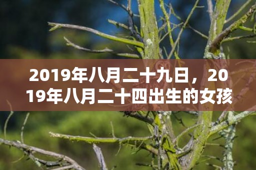 2019年八月二十九日，2019年八月二十四出生的女孩如何起名字，五行属什么