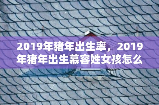 2019年猪年出生率，2019年猪年出生慕容姓女孩怎么样起名字，慕容姓女孩好名推荐