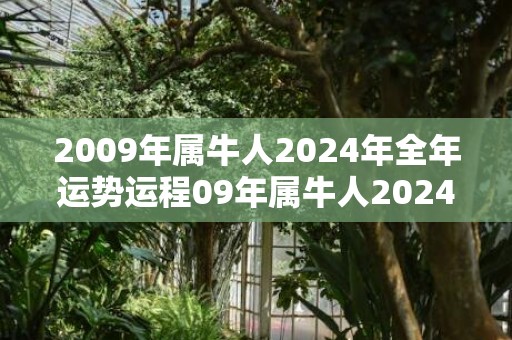 2009年属牛人2024年全年运势运程09年属牛人2024年每月运势详解，2009年属牛人2024年全年运势运程09年属牛人2024年每月运势详解