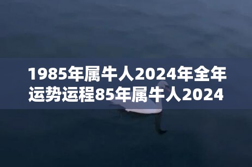 1985年属牛人2024年全年运势运程85年属牛人2024年每月运势详解，1985年属牛人2024年全年运势运程85年属牛人2024年每月运势详解