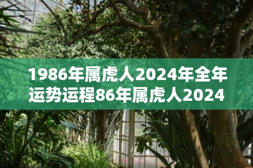 1986年属虎人2024年全年运势运程86年属虎人2024年每月运势详解，1986年属虎人2024年全年运势运程86年属虎人2024年每月运势详解