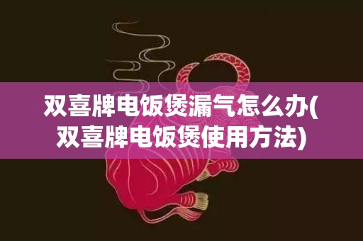 双喜牌电饭煲漏气怎么办(双喜牌电饭煲使用方法)