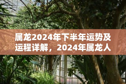 属龙2024年下半年运势及运程详解，2024年属龙人的全年每月运势，属龙2024年下半年运势及运程详解，2024年属龙人的全年每月运势