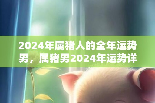 2024年属猪人的全年运势男，属猪男2024年运势详解，2024年属猪人的全年运势男，属猪男2024年运势详解