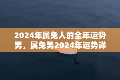 2024年属兔人的全年运势男，属兔男2024年运势详解，2024年属兔人的全年运势男，属兔男2024年运势详解