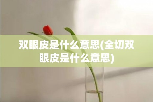 双眼皮是什么意思(全切双眼皮是什么意思)