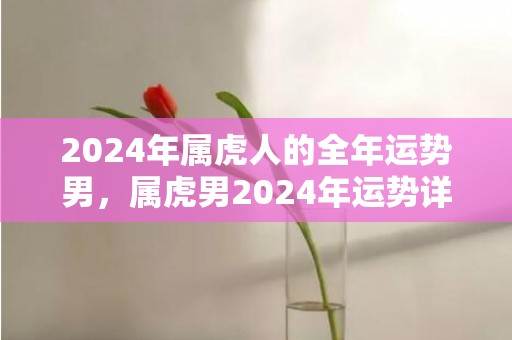 2024年属虎人的全年运势男，属虎男2024年运势详解，2024年属虎人的全年运势男，属虎男2024年运势详解