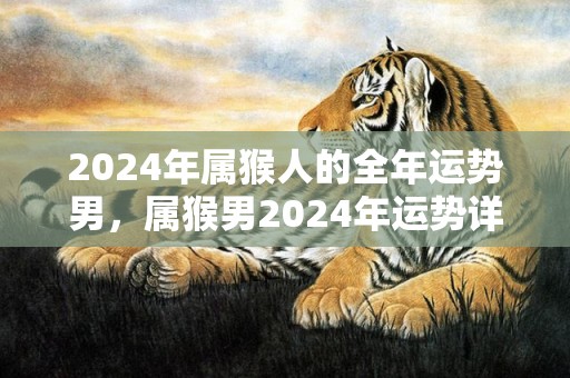 2024年属猴人的全年运势男，属猴男2024年运势详解，2024年属猴人的全年运势男，属猴男2024年运势详解