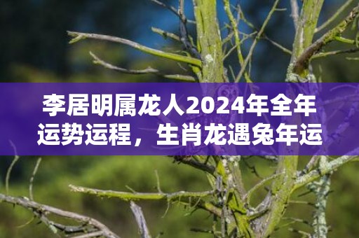 李居明属龙人2024年全年运势运程，生肖龙遇兔年运势如何，李居明属龙人2024年全年运势运程，生肖龙遇兔年运势如何