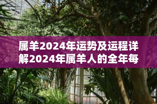 属羊2024年运势及运程详解2024年属羊人的全年每月运势，属羊2024年运势及运程详解2024年属羊人的全年每月运势