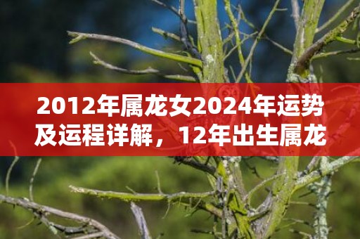 2012年属龙女2024年运势及运程详解，12年出生属龙人2024全年每月运势女性，2012年属龙女2024年运势及运程详解，12年出生属龙人2024全年每月运势女性