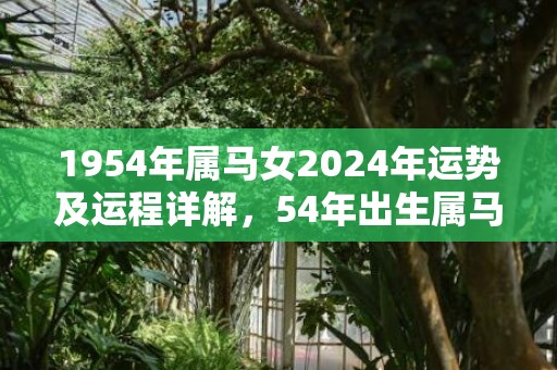 1954年属马女2024年运势及运程详解，54年出生属马人2024全年每月运势女性，1954年属马女2024年运势及运程详解，54年出生属马人2024全年每月运势女性