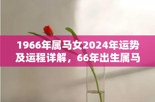 1966年属马女2024年运势及运程详解，66年出生属马人2024全年每月运势女性，1966年属马女2024年运势及运程详解，66年出生属马人2024全年每月运势女性