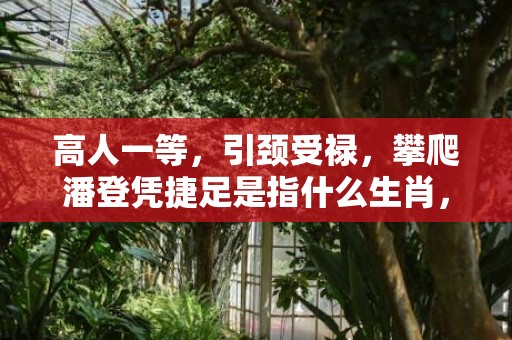 高人一等，引颈受禄，攀爬潘登凭捷足是指什么生肖，最新落实精选