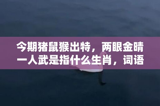 今期猪鼠猴出特，两眼金晴一人武是指什么生肖，词语解释落实