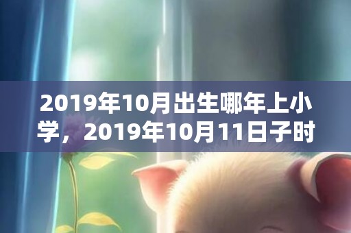 2019年10月出生哪年上小学，2019年10月11日子时出生的男孩取名有什么技巧呢？