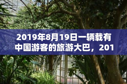 2019年8月19日一辆载有中国游客的旅游大巴，2019年8月15号巳时出生的男孩五行属什么