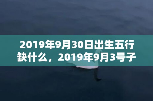 2019年9月30日出生五行缺什么，2019年9月3号子时出生的男孩取什么名字，五行属什么