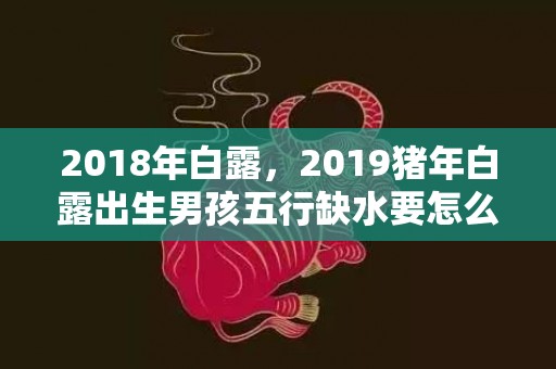 2018年白露，2019猪年白露出生男孩五行缺水要怎么起名字