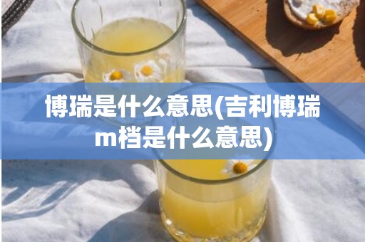 博瑞是什么意思(吉利博瑞m档是什么意思)