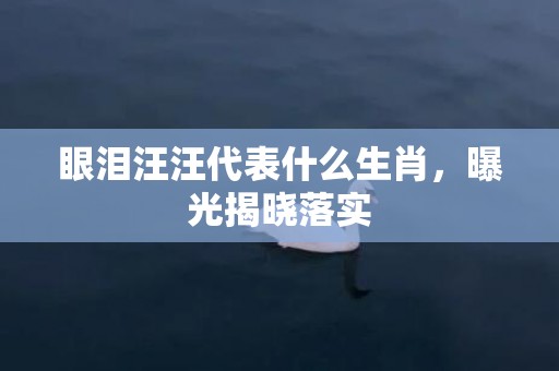 眼泪汪汪代表什么生肖，曝光揭晓落实