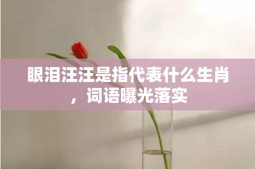 眼泪汪汪是指代表什么生肖，词语曝光落实