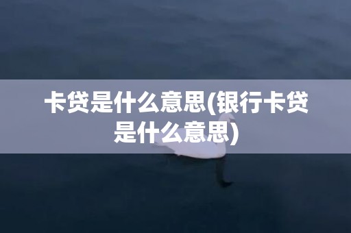 卡贷是什么意思(银行卡贷是什么意思)