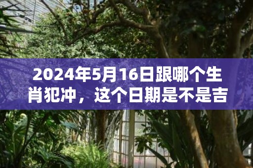 2024年5月16日跟哪个生肖犯冲，这个日期是不是吉日