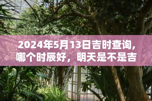 2024年5月13日吉时查询,哪个时辰好，明天是不是吉日