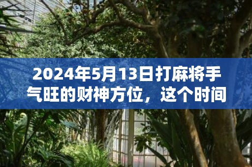 2024年5月13日打麻将手气旺的财神方位，这个时间段是吉日吗