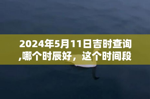 2024年5月11日吉时查询,哪个时辰好，这个时间段是吉日吗