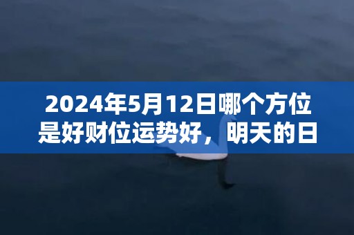 2024年5月12日哪个方位是好财位运势好，明天的日子是不是黄道吉日