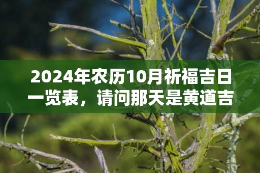 2024年农历10月祈福吉日一览表，请问那天是黄道吉日