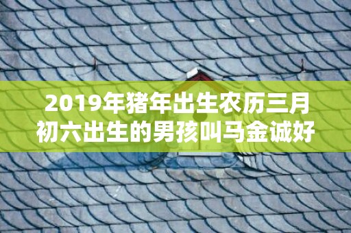 2019年猪年出生农历三月初六出生的男孩叫马金诚好吗，2019年猪年出生公仲姓女孩怎么样起名字，公仲姓女孩好名推荐