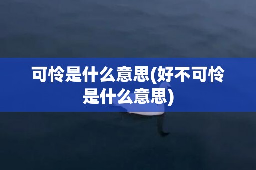 可怜是什么意思(好不可怜是什么意思)