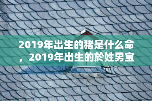 2019年出生的猪是什么命，2019年出生的於姓男宝宝该如何起名字，宜用什么字。