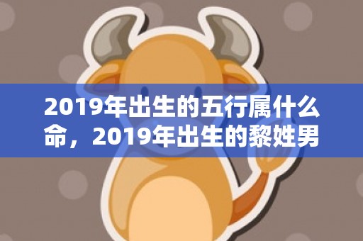 2019年出生的五行属什么命，2019年出生的黎姓男宝宝如何起名字，宜用什么字。