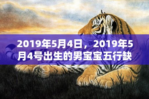 2019年5月4日，2019年5月4号出生的男宝宝五行缺金要怎么起名字