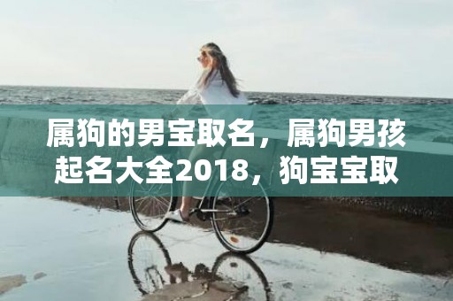 属狗的男宝取名，属狗男孩起名大全2018，狗宝宝取名