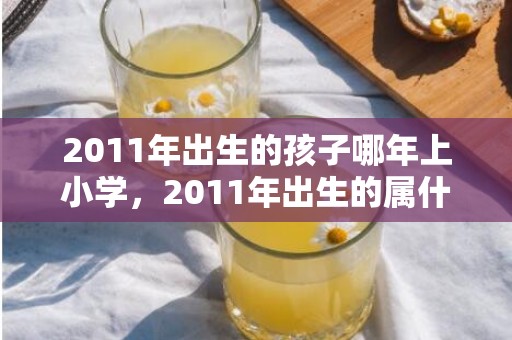 2011年出生的孩子哪年上小学，2011年出生的属什么