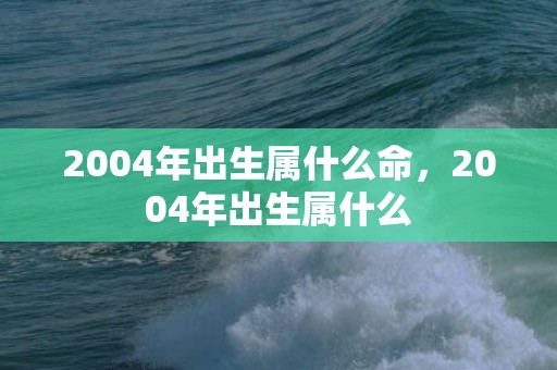 2004年出生属什么命，2004年出生属什么