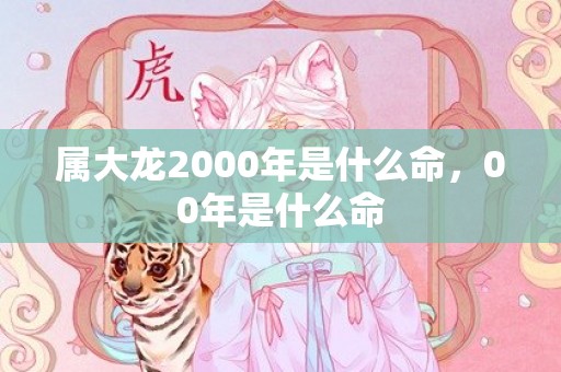 属大龙2000年是什么命，00年是什么命