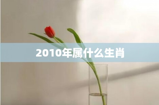 2010年属什么生肖