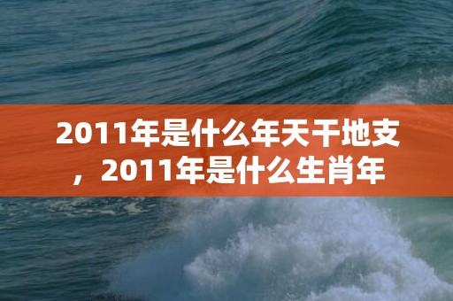 2011年是什么年天干地支，2011年是什么生肖年